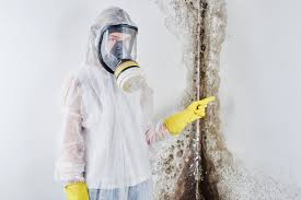 Best Mold Remediation for Rental Properties  in Pahoa, HI